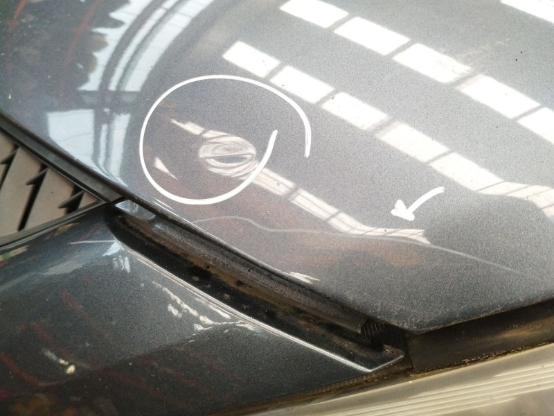 Recambio de capot para mitsubishi grandis (na_w) 2.0 di-d (na8w) referencia OEM IAM 5900A129  