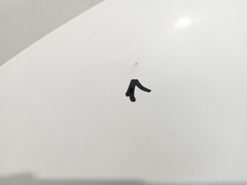 Recambio de capot para citroën c4 picasso feel referencia OEM IAM 9801571480  