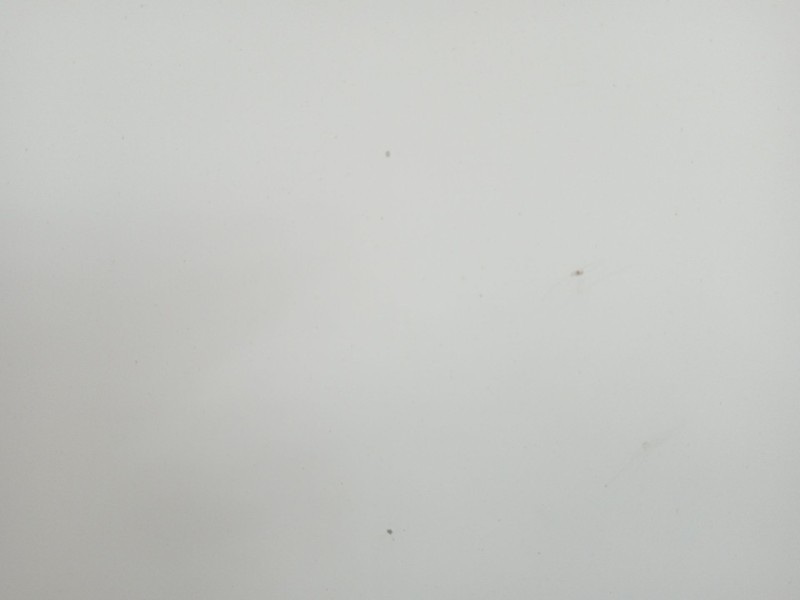 Recambio de capot para citroën c4 picasso feel referencia OEM IAM 9801571480  