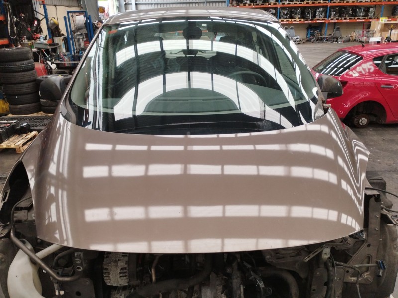 Recambio de capot para renault scenic iii dynamique referencia OEM IAM 651008842R  