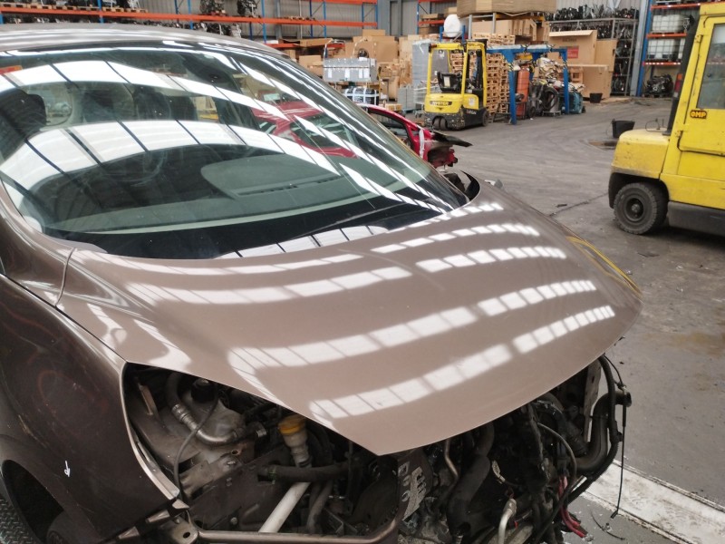 Recambio de capot para renault scenic iii dynamique referencia OEM IAM 651008842R  