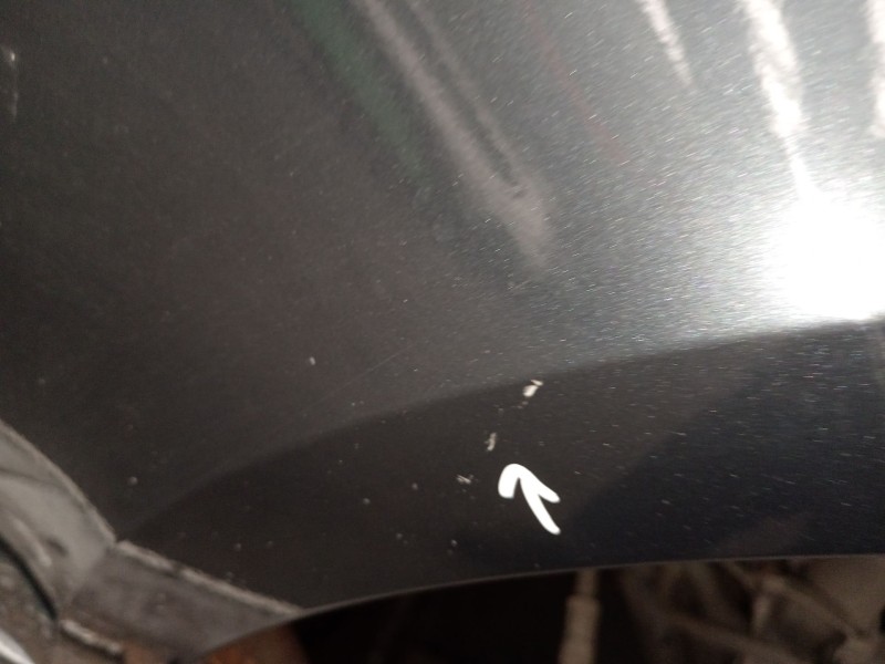 Recambio de aleta delantera derecha para skoda octavia iii (5e3, nl3, nr3) 1.5 tsi referencia OEM IAM   