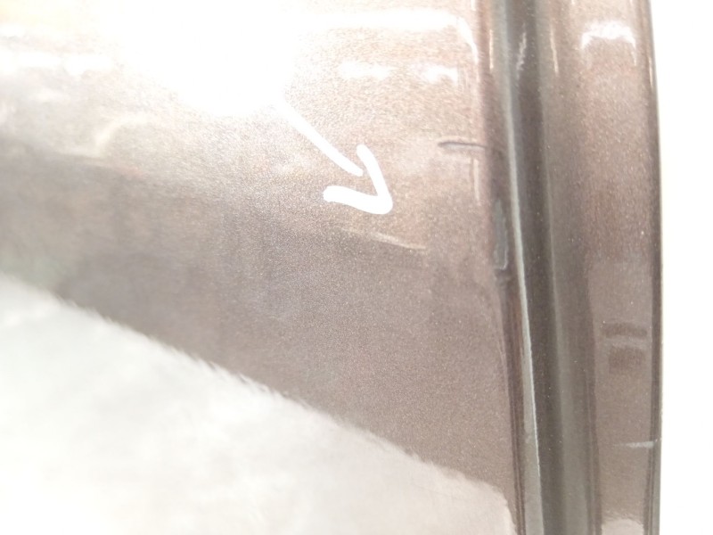 Recambio de puerta trasera derecha para renault scénic iii (jz0/1_) 1.2 tce referencia OEM IAM 821009283R  