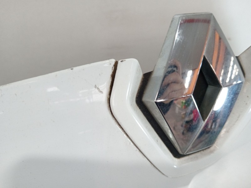 Recambio de capot para renault megane iii berlina 5 p bose edition referencia OEM IAM 651009018R  