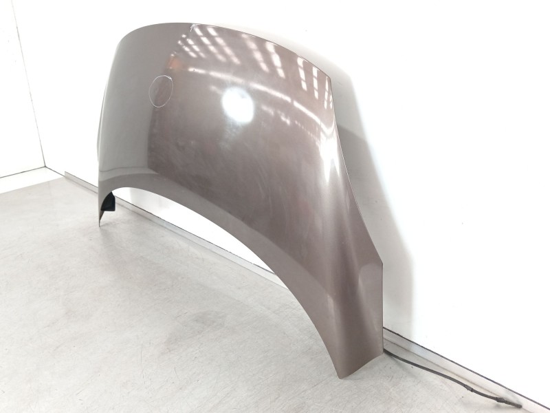 Recambio de capot para renault scenic iii dynamique referencia OEM IAM 651008842R  