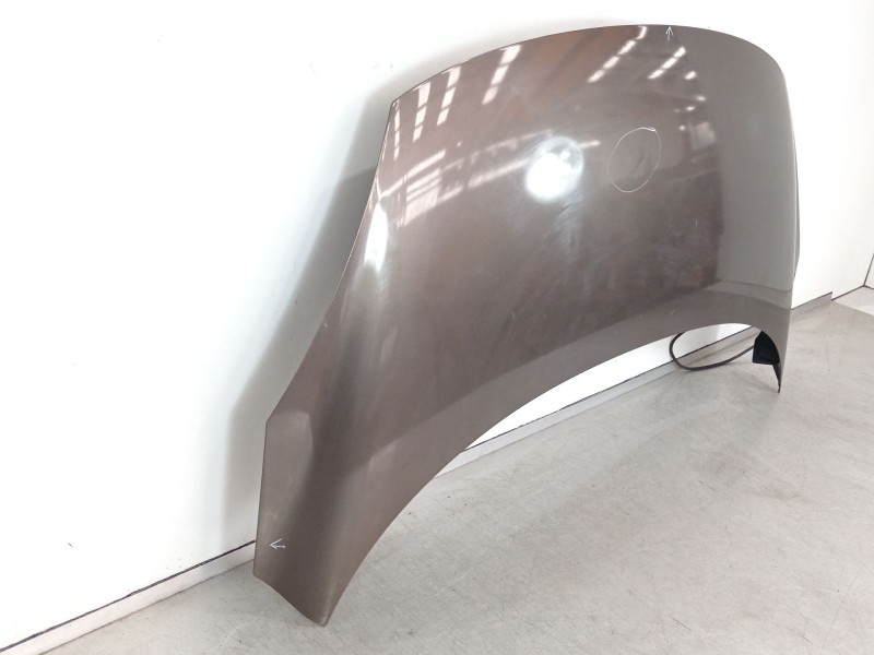 Recambio de capot para renault scenic iii dynamique referencia OEM IAM 651008842R  