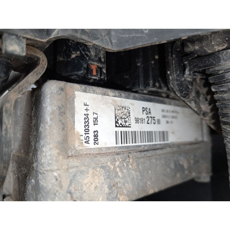 Recambio de bomba direccion para peugeot expert autobús (v_) 1.6 bluehdi 115 referencia OEM IAM 9818127580  