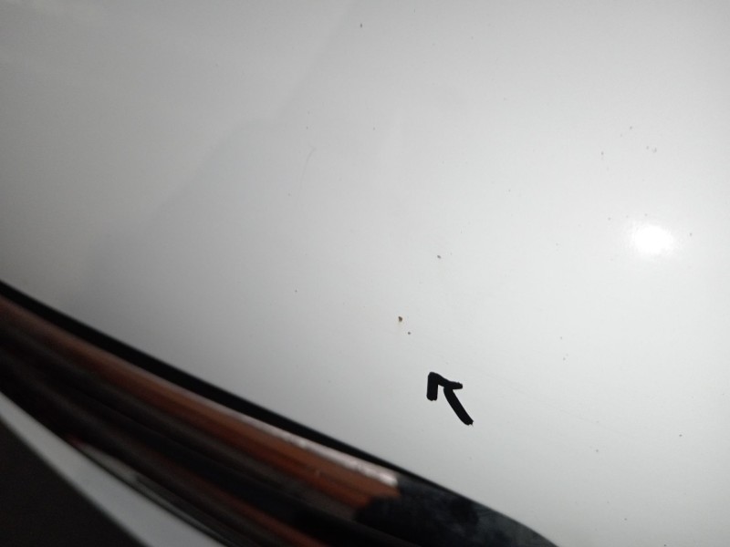 Recambio de capot para citroën c-elysee (dd_) 1.6 bluehdi 100 referencia OEM IAM   