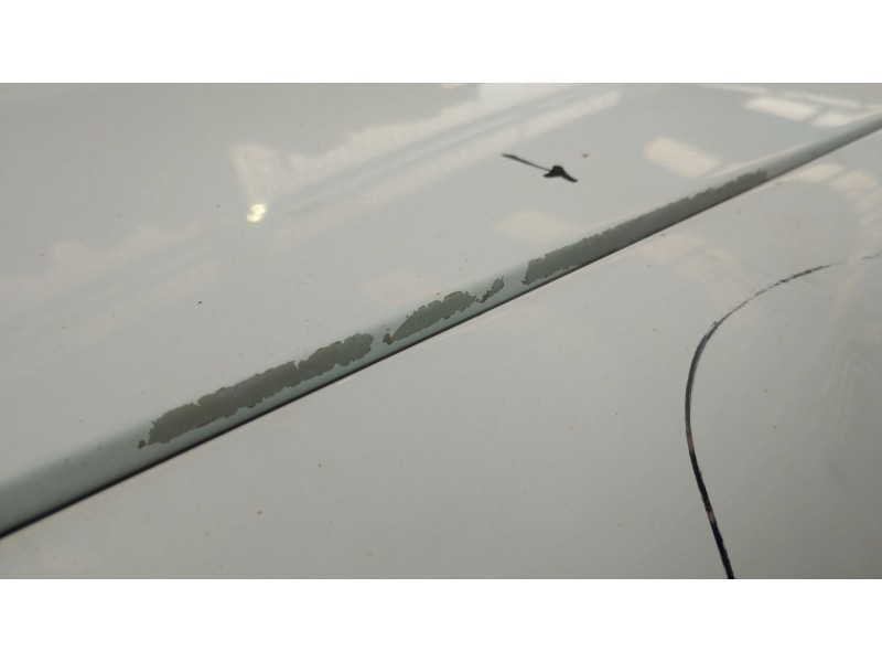 Recambio de capot para citroën berlingo caja/chasis (b9) 1.6 bluehdi 100 referencia OEM IAM   