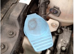 Recambio de deposito limpia para volkswagen passat b6 (3c2) 2.0 tdi 16v referencia OEM IAM   