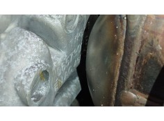 Recambio de compresor aire acondicionado para opel astra j sedán 1.7 cdti (69) referencia OEM IAM 39164665   2