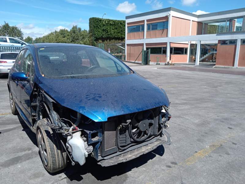 PEUGEOT 307 (3A/C)