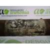 TRANSMISION DELANTERA IZQUIERDA 8200376094 