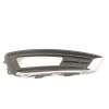 REJILLA PARAGOLPES DERECHA F1EB15A298B 