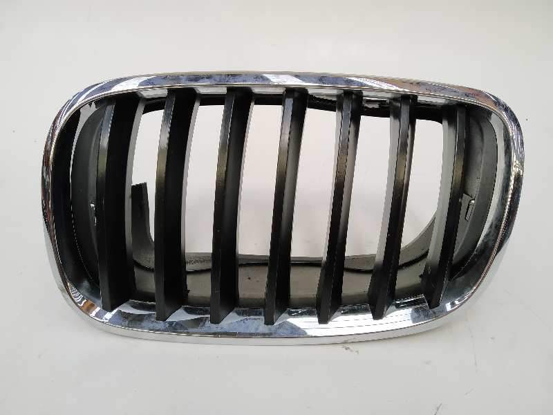 REJILLA DELANTERA 51317157687 51137171395 