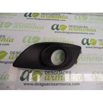 REJILLA PARAGOLPES DELANTERO 7176168L1 