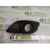 REJILLA PARAGOLPES DELANTERO 7176168L1 