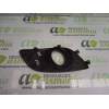 REJILLA PARAGOLPES DELANTERO 7176168L1 