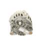ALTERNADOR 231007865R TG12C124 