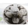 BOMBA COMBUSTIBLE 17708S5A941 1019616333 