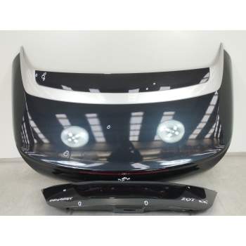 TAPA MALETERO 9800118280 