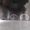 PORTON TRASERO 31402344 50128770S 