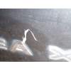 PORTON TRASERO 5P0827024 
