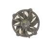 ELECTROVENTILADOR 9673009880 