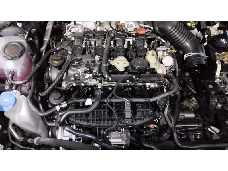 MOTOR COMPLETO DNFF 