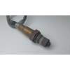 SONDA LAMBDA 55563348 