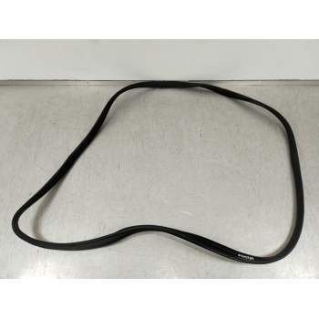 GOMAS CONTORNO PUERTA 320230831 