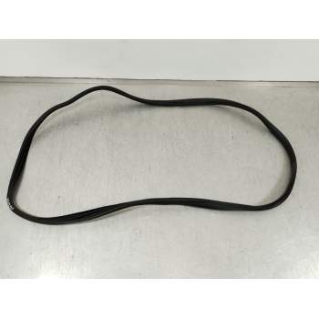 GOMAS CONTORNO PUERTA 20230625 