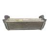 INTERCOOLER 17517809321 T1084001 