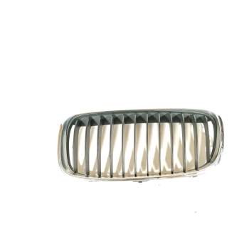REJILLA DELANTERA 51137300543 51137379609 