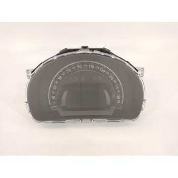 CUADRO INSTRUMENTOS 248212294R 