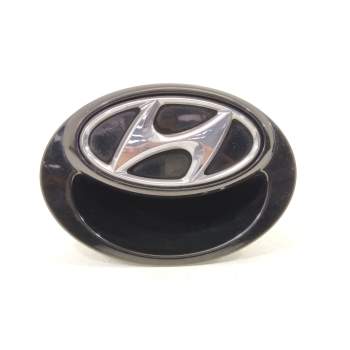 MANETA EXTERIOR PORTON 817211J020 