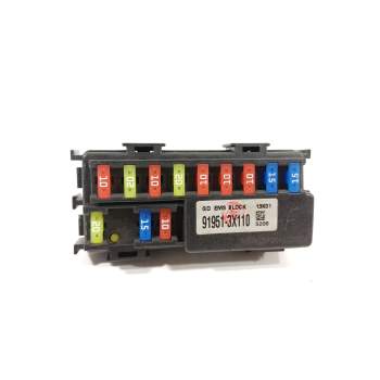 CAJA RELES / FUSIBLES 919513X110 