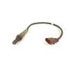 SONDA LAMBDA 4E906262 