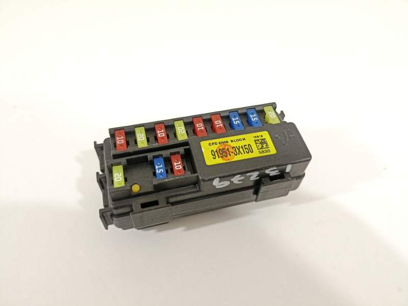 CAJA RELES / FUSIBLES 919513X150 