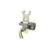 CABLE 240803YV0A 