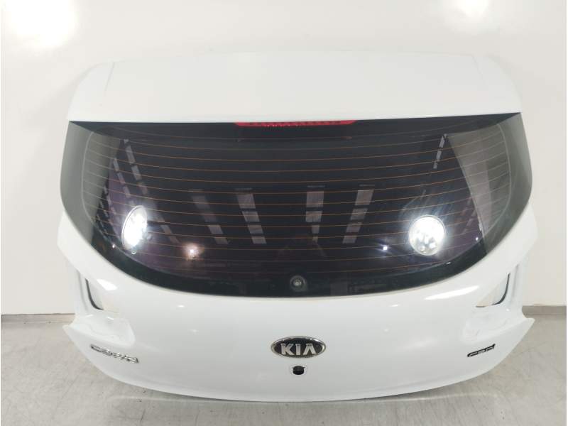 PORTON TRASERO 73700A2000 