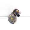 MOTOR ARRANQUE 02T911024B TS10E26 