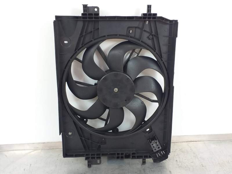 ELECTROVENTILADOR 214818009R 