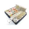 CAJA RELES / FUSIBLES 8200481866 