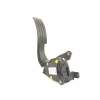 POTENCIOMETRO PEDAL 180029347R 