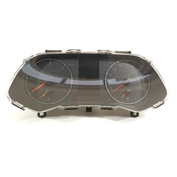 CUADRO INSTRUMENTOS 248101701r 