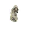 MOTOR ARRANQUE 02M911023R 