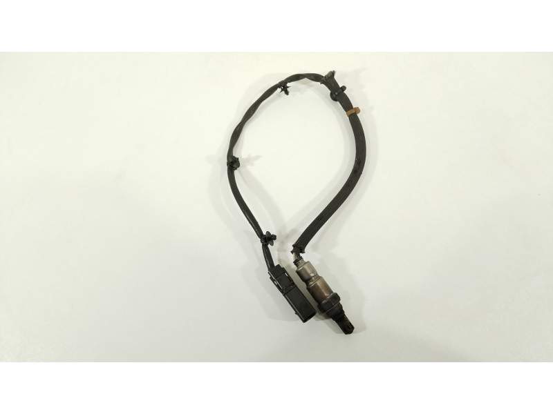 SONDA LAMBDA 55489509 