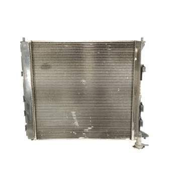 RADIADOR AGUA 253102Y001 