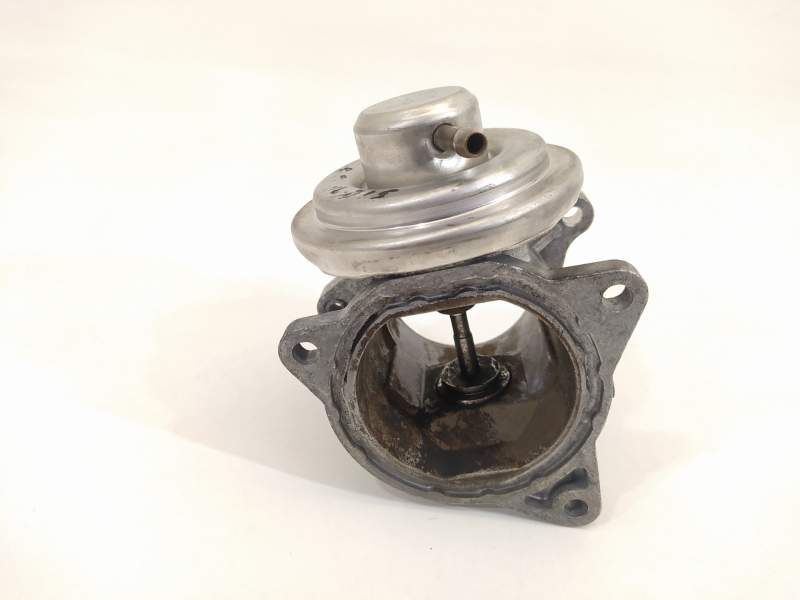 VALVULA EGR 038131501AN 